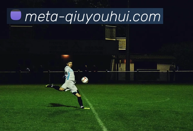 球友会平台生态图